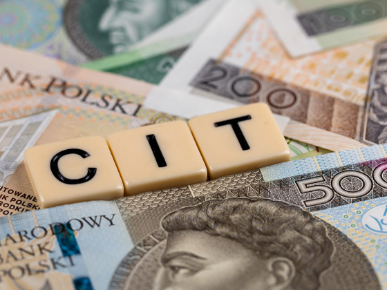 Koniec pierwszego okresu estońskiego CIT. Co musisz wiedzieć?